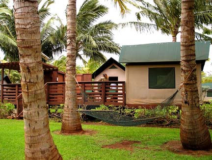 Tentalow behind coconut palms at Molokai Ranch Lodge