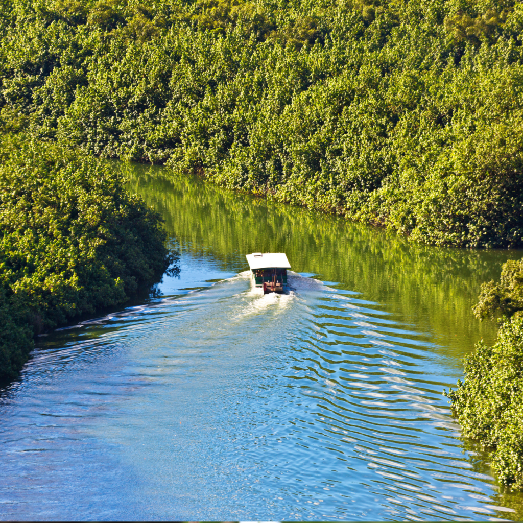 River Boat Tours of Kauai