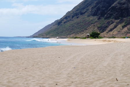 A beautiful sandy beach