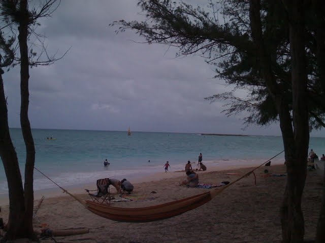 A hammock strung between 2 trees near the beach