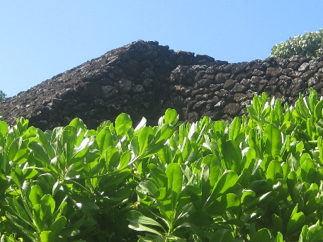 A rock wall behind shrubbery