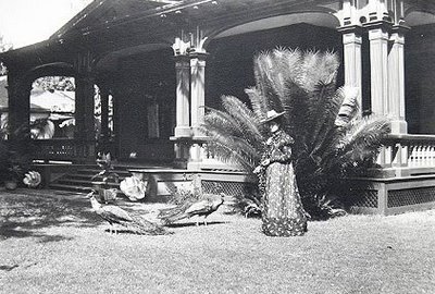 Princess Kaiulani feeds a chicken near her front porch