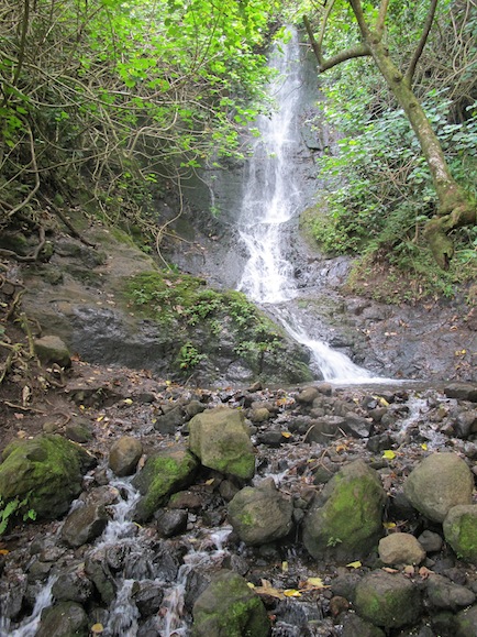 Looking up at a very long waterfall in the jungle