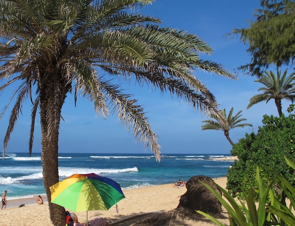 View of a beach umbrella and palm trees on a Hawaiian Beach