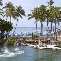 Dolphins jumping at Kahala Hotel