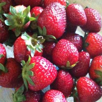a quart container of fresh strawberries