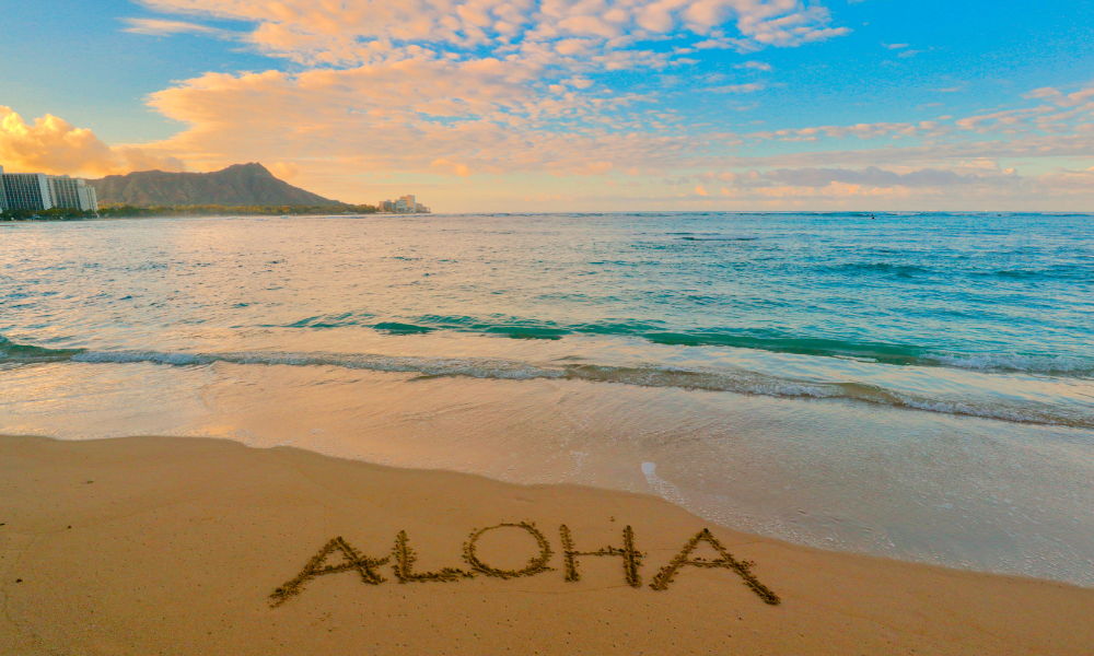 Aloha Friday