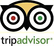 Trip Advisor Logo