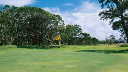 Yellow checkered flag marks hole at Hawaii golf course