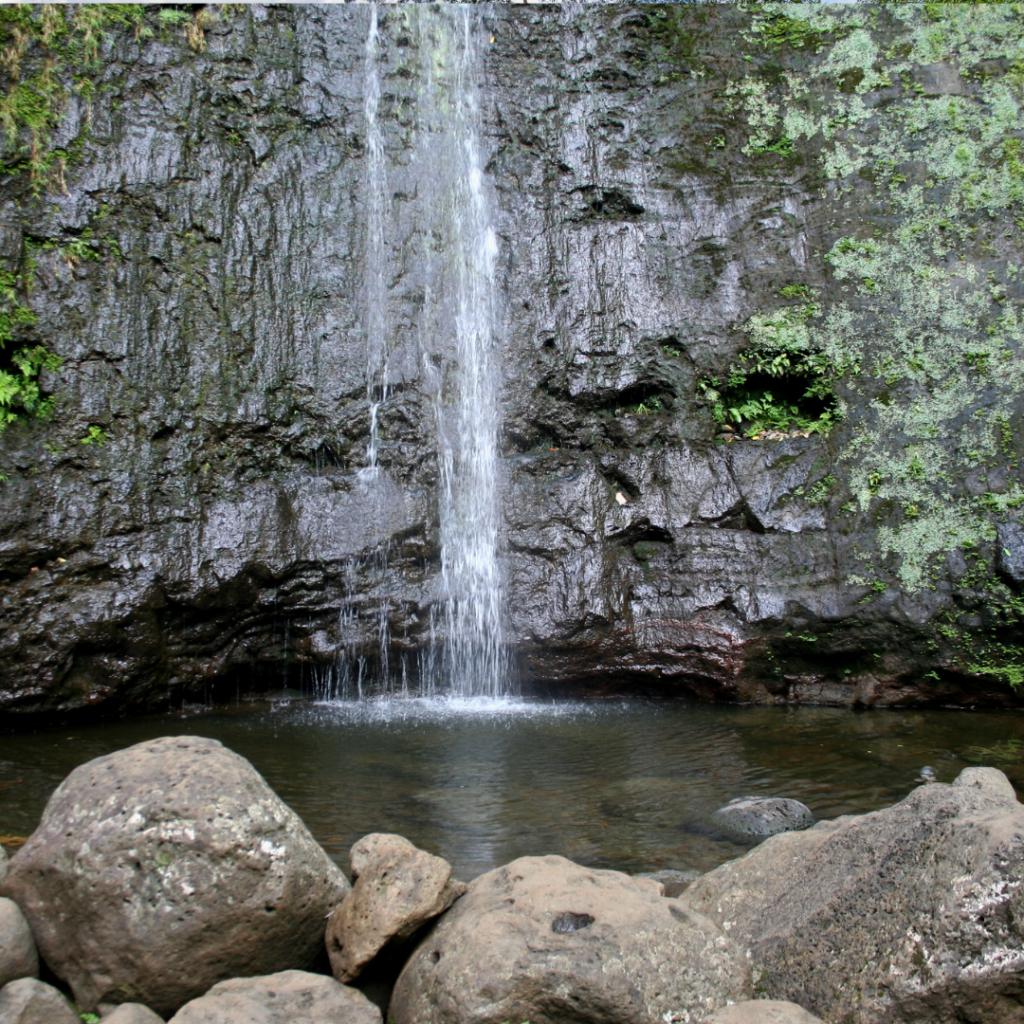 Manoa falls