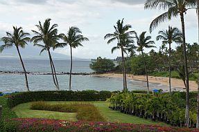 Coconut trees in between landscaped hotel property and a Hawaii beach