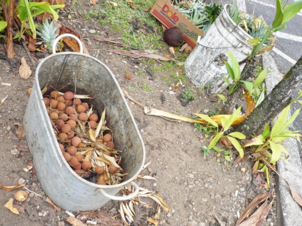 A large tin bucket filled with lychee