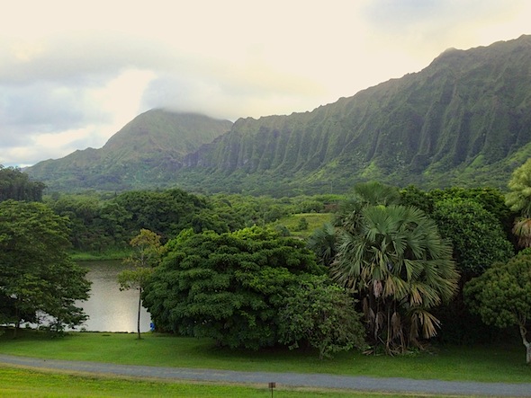 The mountains surrounding the botanical gardens