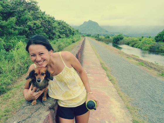 The Kawai Nui marsh trail