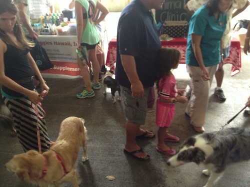 Participants in the Dakine canine festival