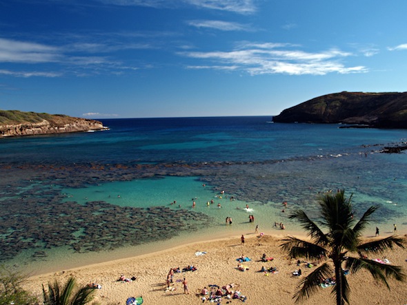 Snorkelers enjoying a clear, sunny day at Hanauma Bay