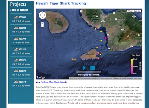 Website showing tiger shark tracking off of Maui waters