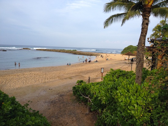Manmade lagoon at Turtle Bay Resort