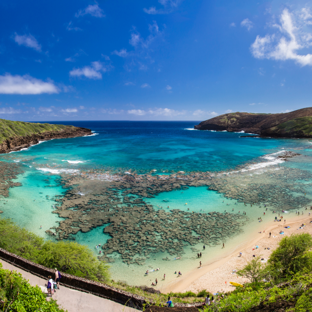 Hanauma Bay snorkeling