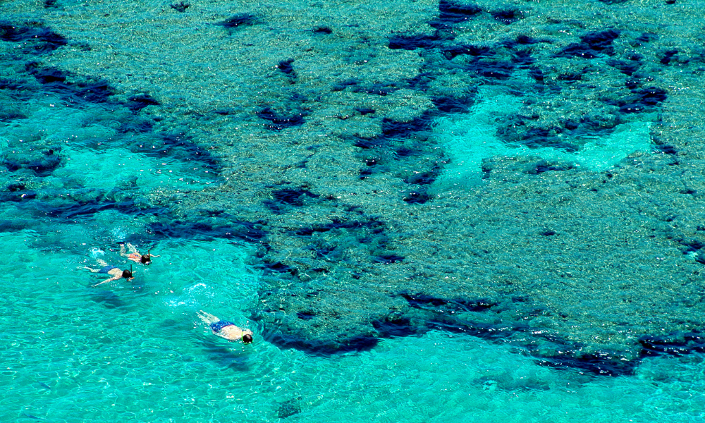 Snorkeling in Hawaii