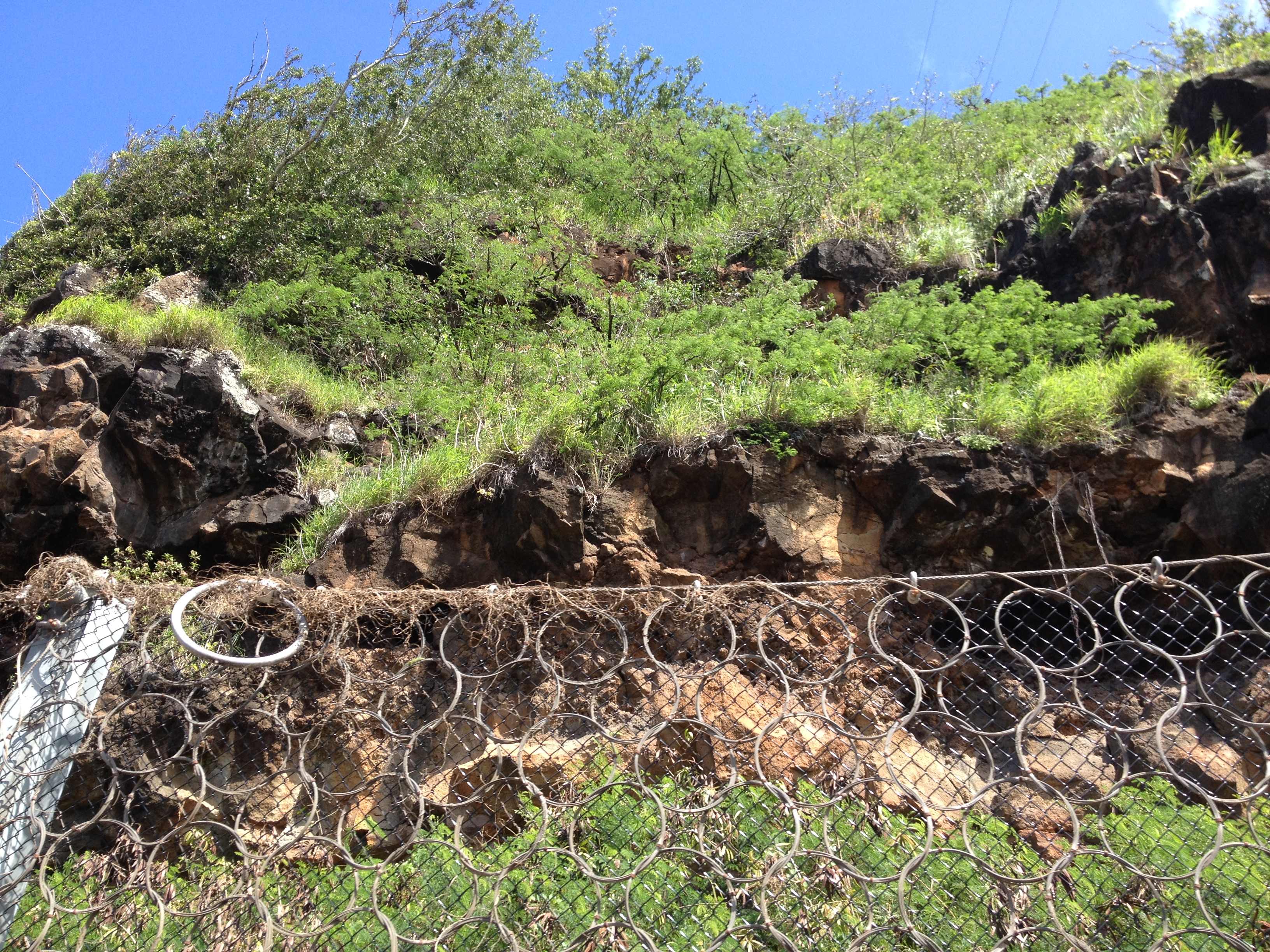 A chain-linked fence at Waimea Bay prevents rock debris from falling into the roadway below