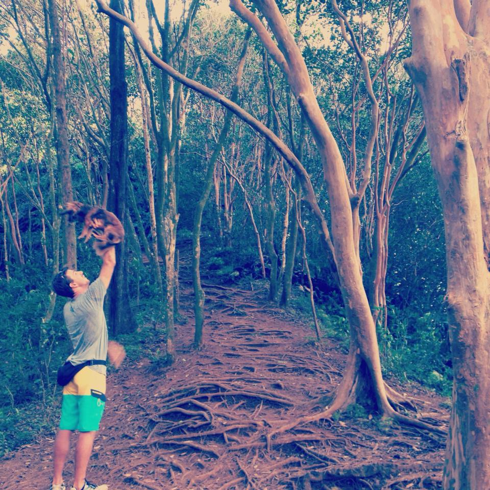 A hiker and his dog share a trail in Hawaii