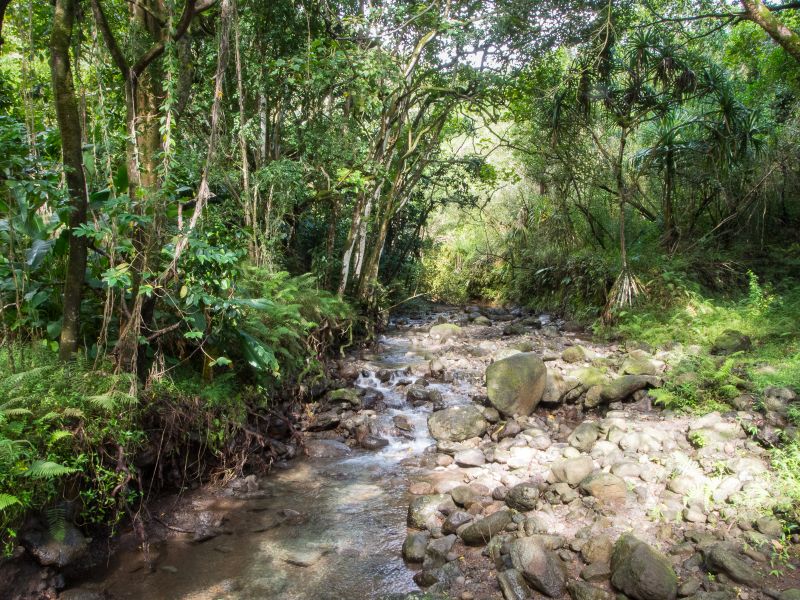 Stream in Waihe'e valley