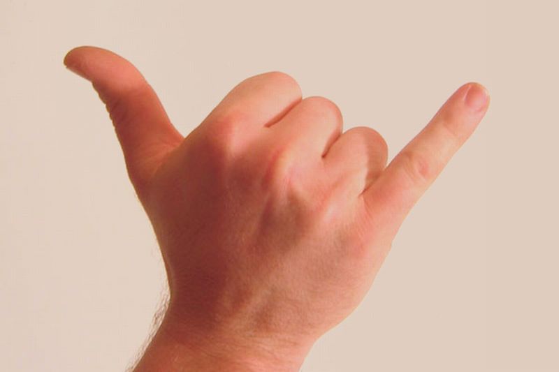 shaka sign hand gesture