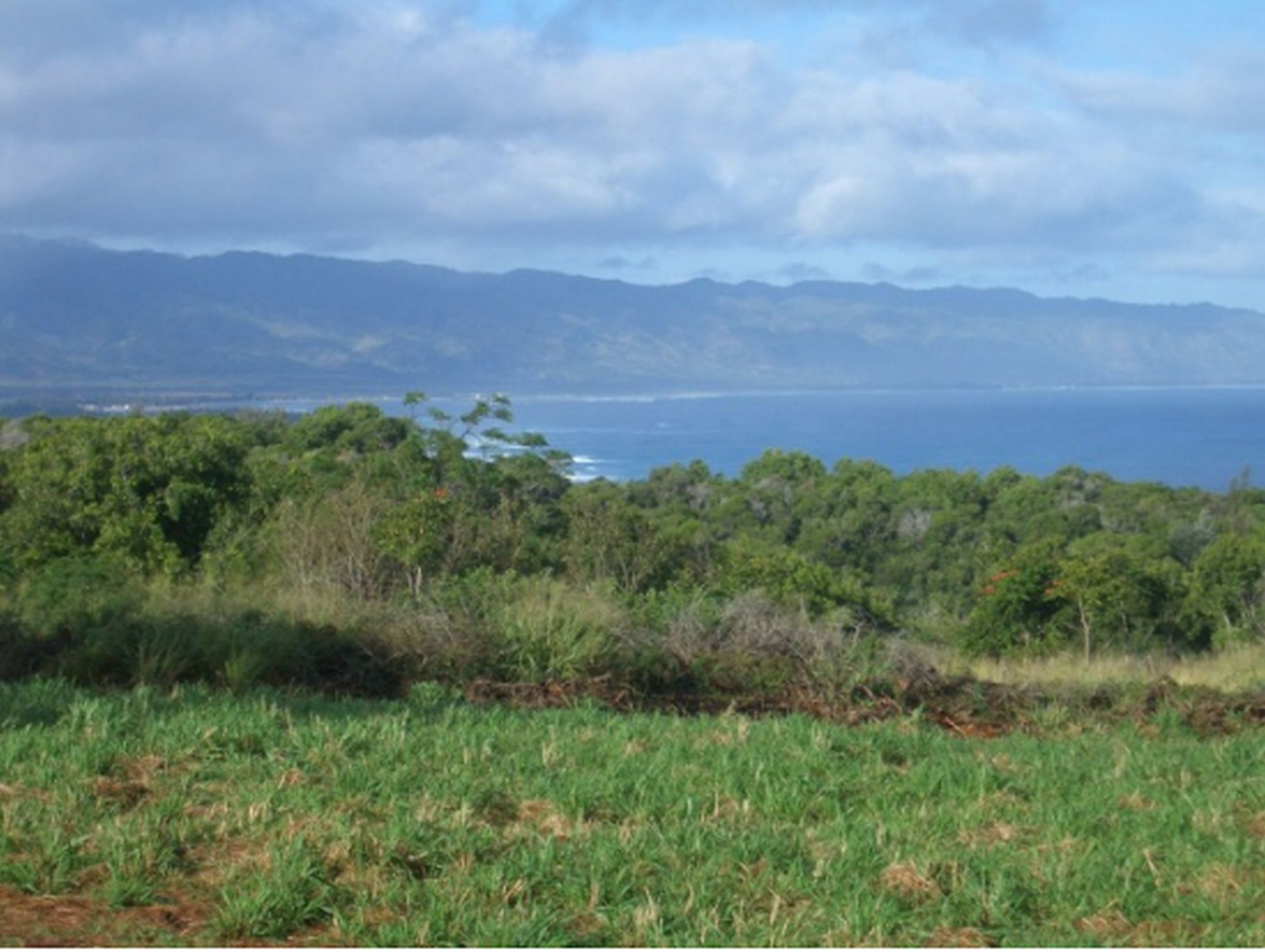 View of Waimea valley