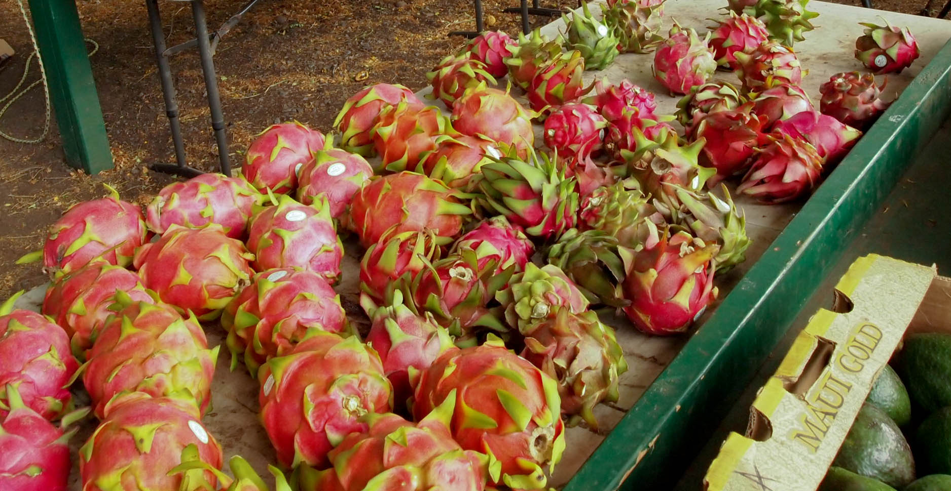 Fruit stand with Organic Hawaiian Dragon fruit