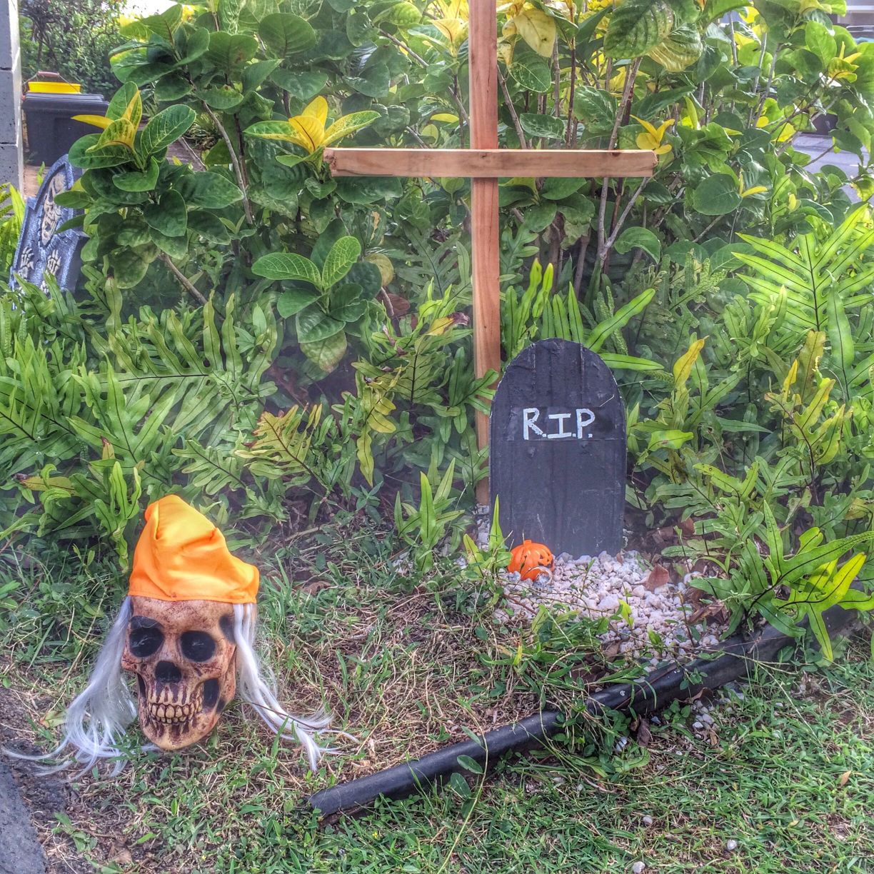 Halloween graveside and skull in Hawaii