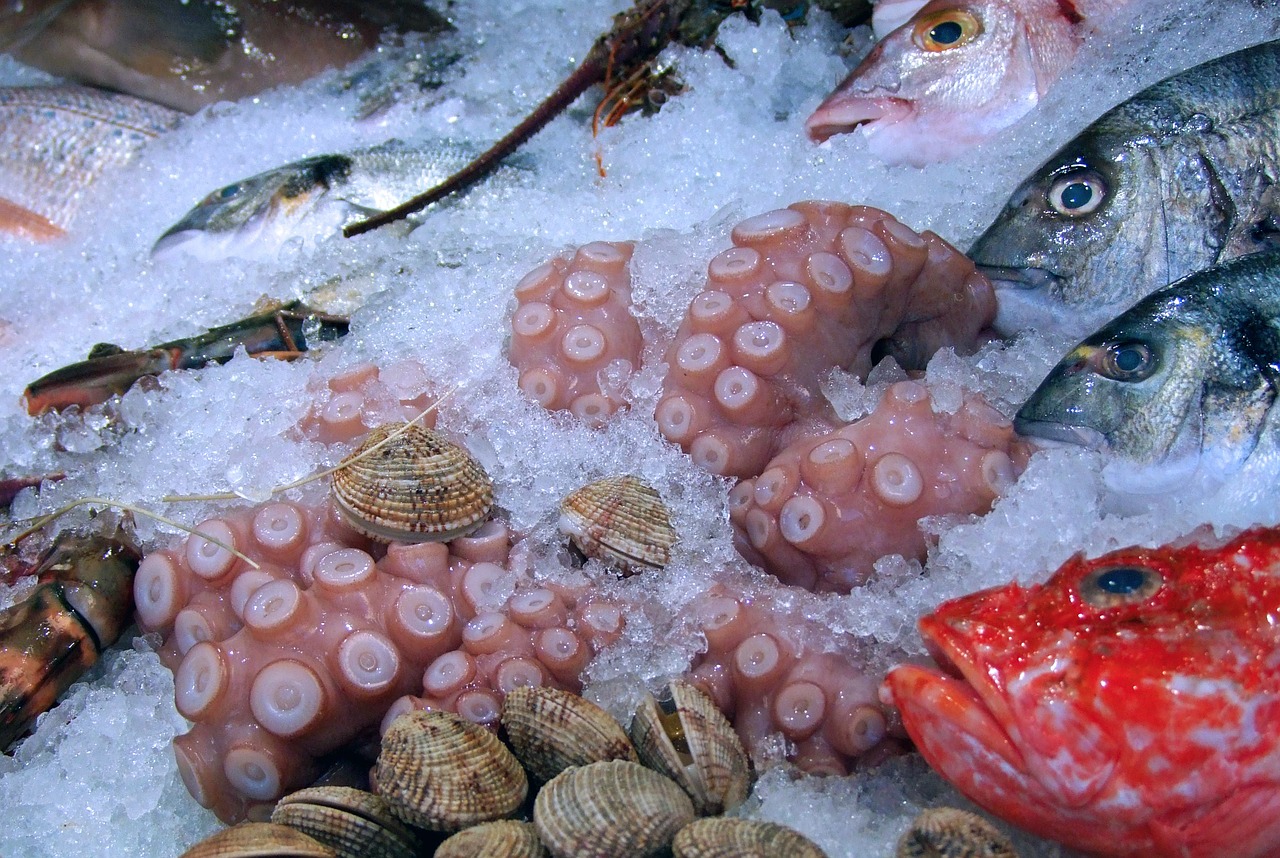 Various seafood in ice