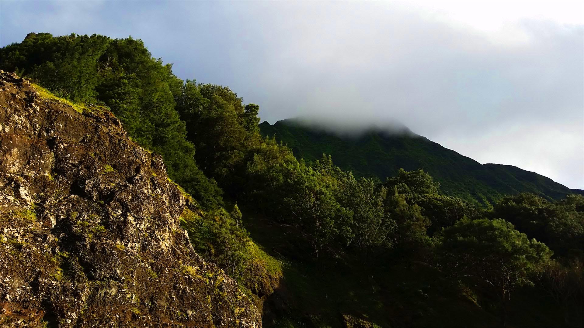 5 Reasons to Take the Pali Highway Hawaii Aloha Travel