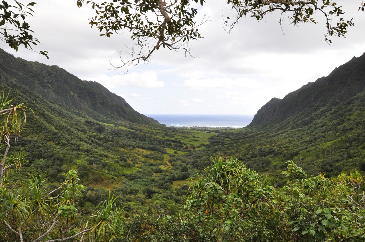 A beautiful valley in Hawaii