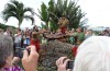 Traditional Foods of the Hawaiian Luau