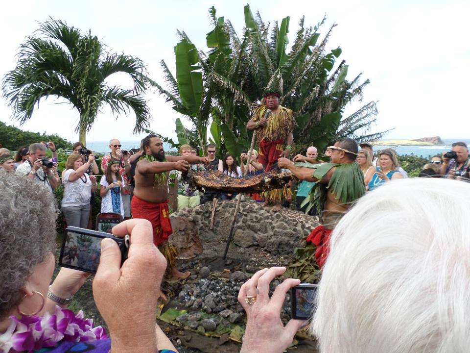 hawaiians raising pig after being steamed