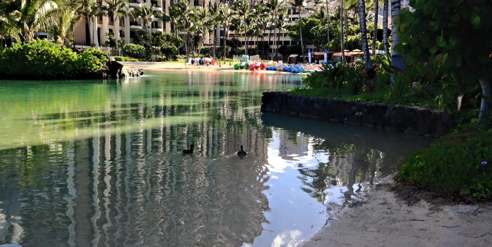 Visiting the shops at Hilton Hawaiian village is a great way to enjoy a full day at the grounds and lagoon