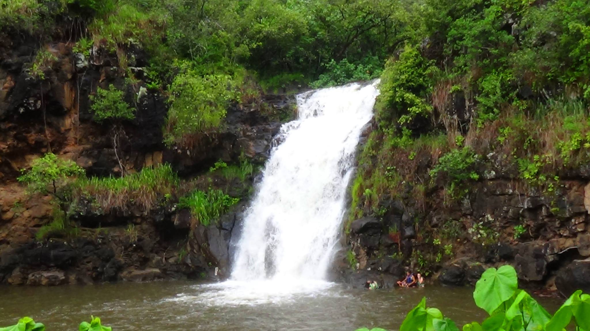 waimea falls or waihi falls