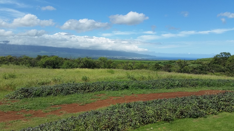 View from distillery