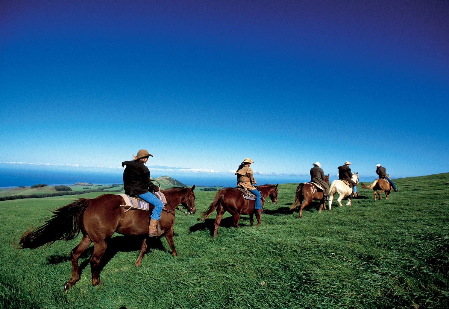 horseback riders in a line