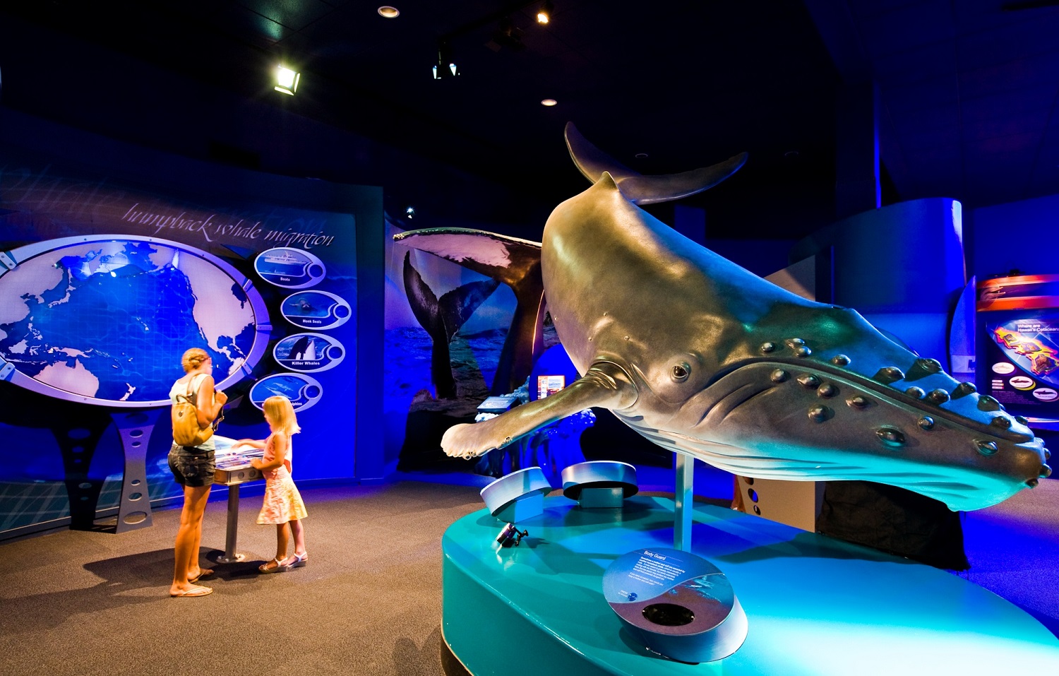 visitors in the maui ocean center