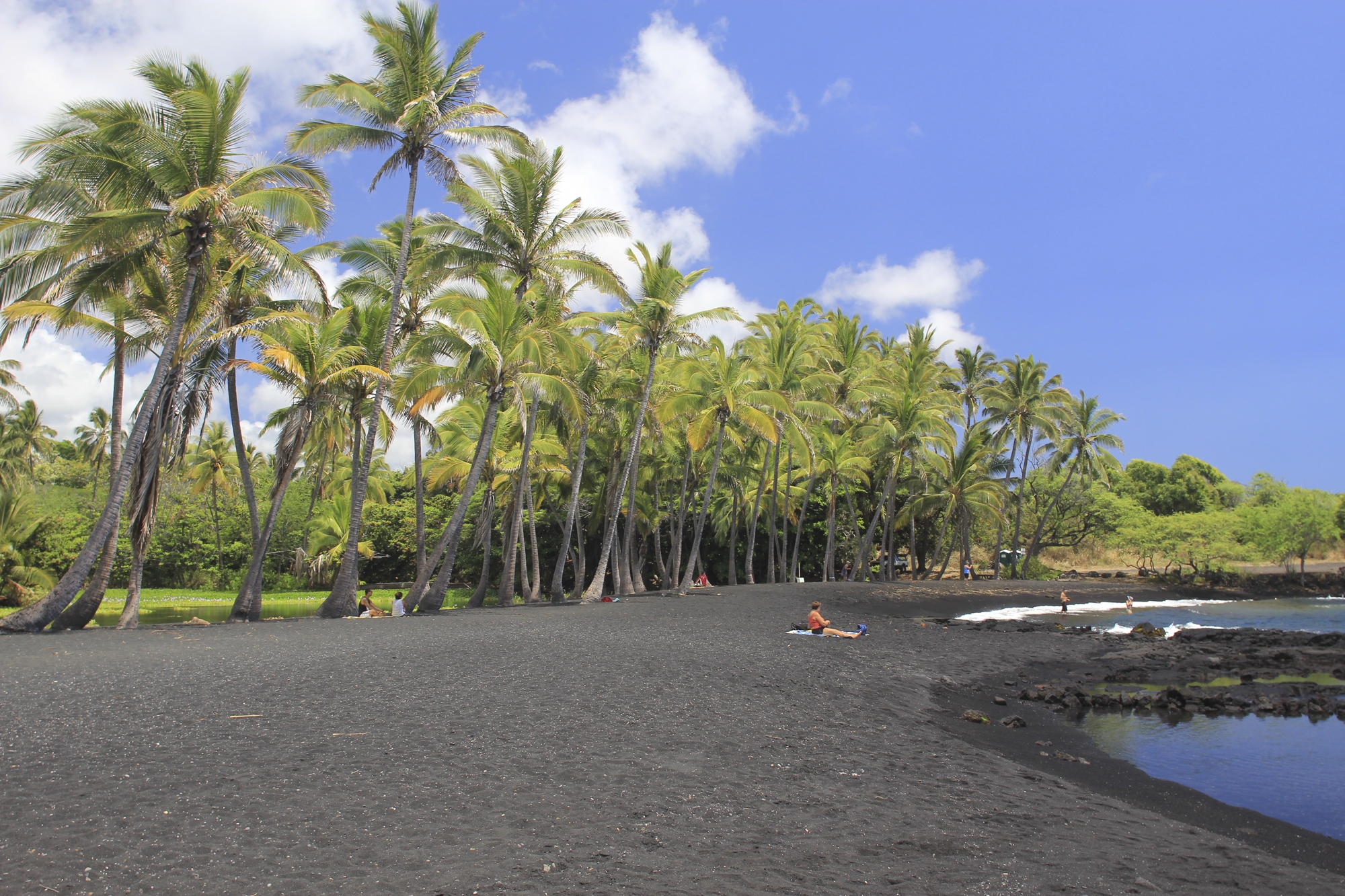 a black sand beach lined with palm trees