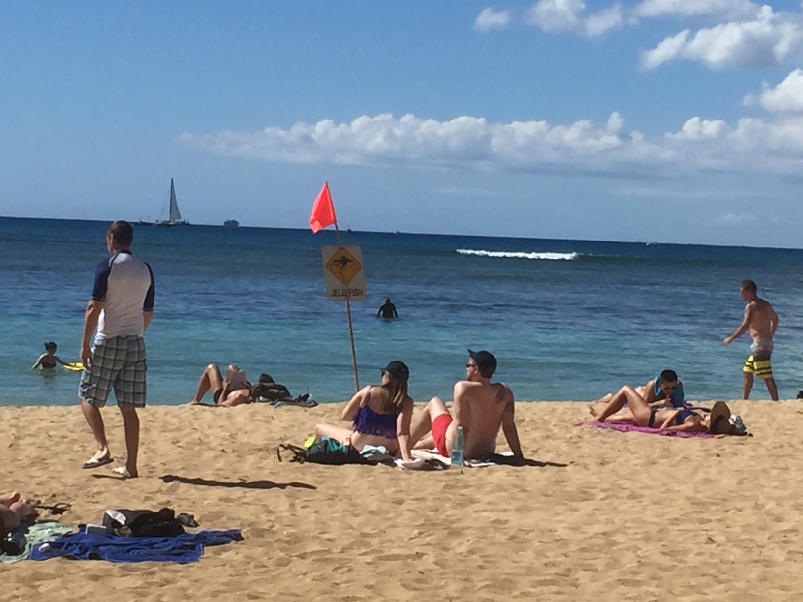 people on the beach next to a box jellyfish warning sign