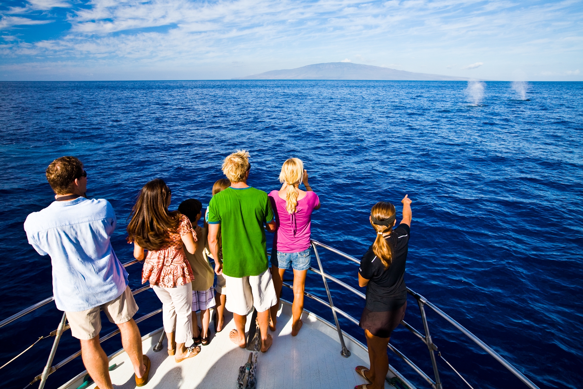 people on deck a boat watching whales