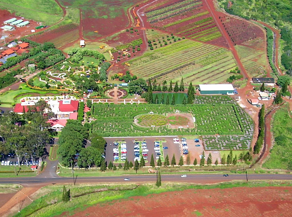 an aerial view of dole plantation