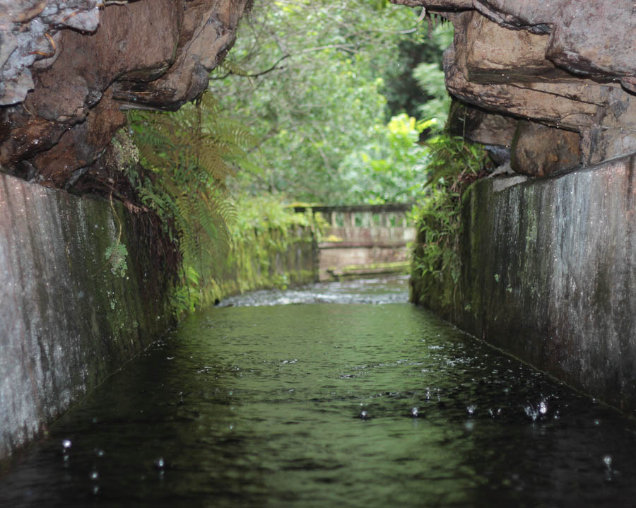 an irrigation ditch