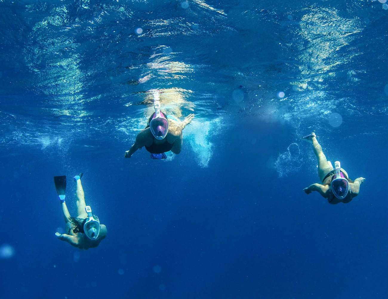 three people swimming with snorkel masks