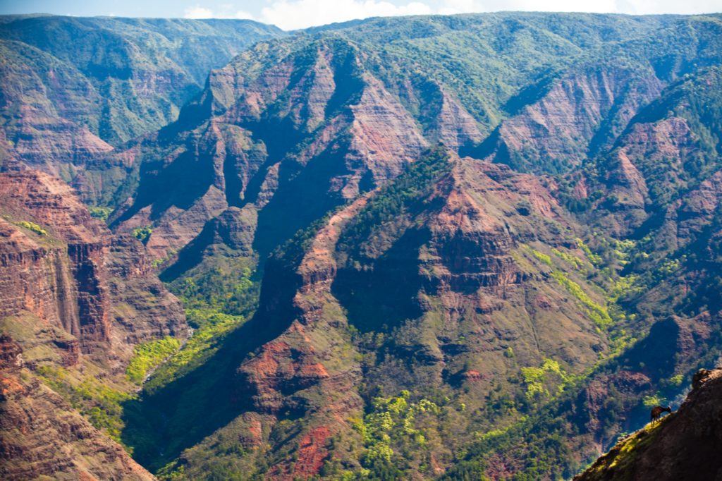 waimea canyon on kauai: Kauai travel guide