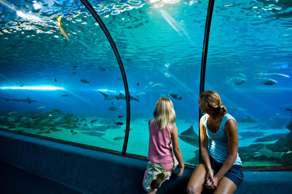 two people sitting by an aquarium at the maui ocean center