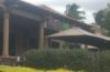 Cheap(er) Eats on Maui in Hawaii- Wailea Restaurants That Won’t Break the Bank!